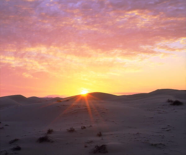 USA; California; USA; California; Glamis Sand Dunes at Sunrise