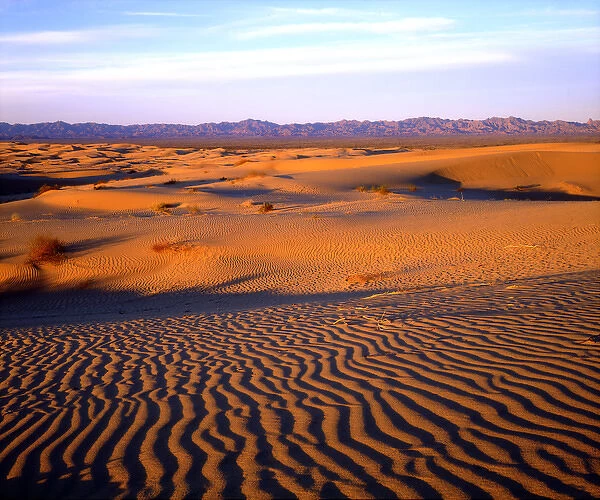 USA; California; USA; California; USA; California; USA; California; Glamis Sand Dunes