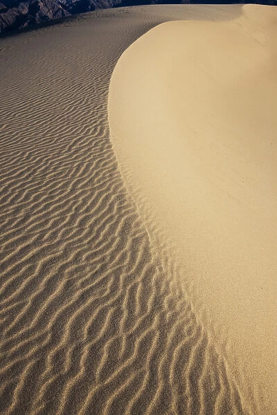 USA California Valley Dunes 11