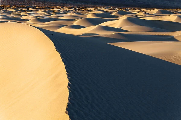 USA California Valley Dunes 15