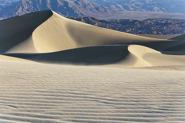 USA California Valley Dunes 18