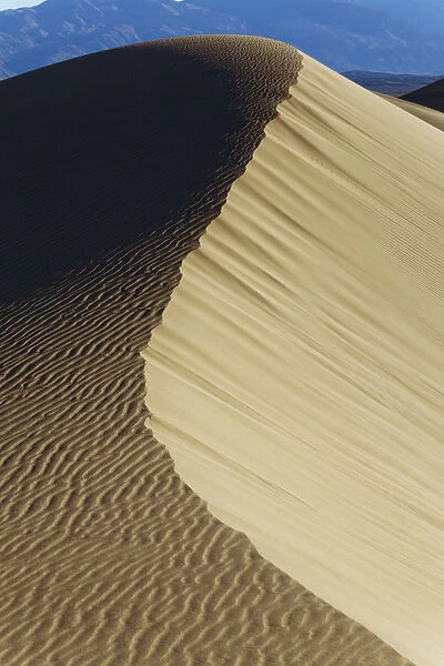 USA California Valley Dunes 20