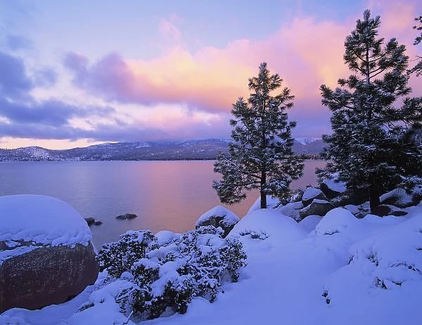 USA, California. A winter day at Lake Tahoe