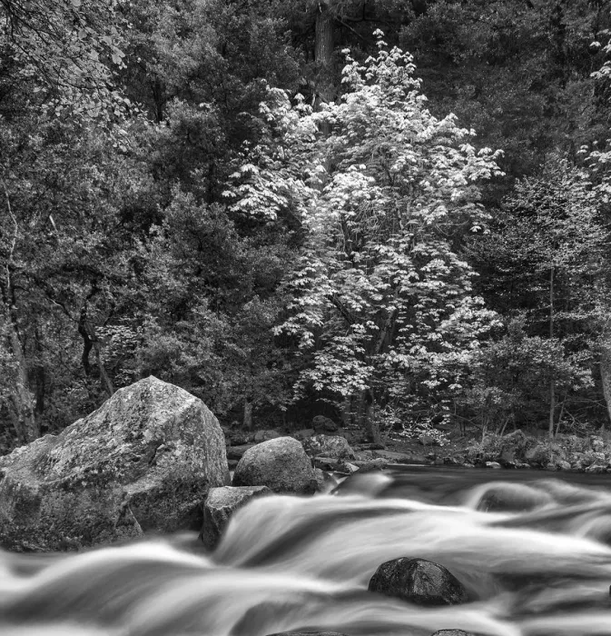 Framed Print : USA, California, Yosemite, Happy Isles Framed Print : USA, California, Yosemite, Happy Isles