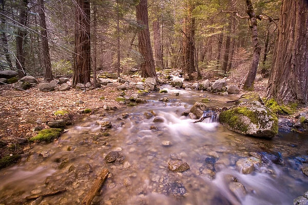 USA, California, Yosemite National Park. Water calmly flows through stream in Yosemite s