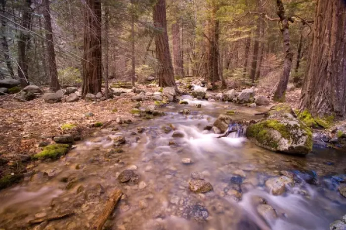Framed Print : USA, California, Yosemite National Park. Water calmly flows through stream in Yosemite s Framed Print : USA, California, Yosemite National Park. Water calmly flows through stream in Yosemite s