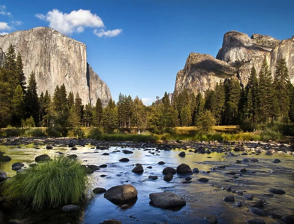 USA, California, Yosemite National Park, The Merced River, El Capitan, and Cathedral