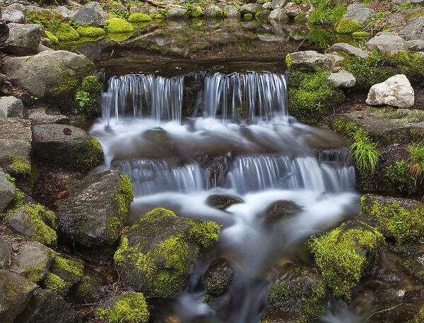 USA, California, Yosemite National Park. Fern Spring waterfall