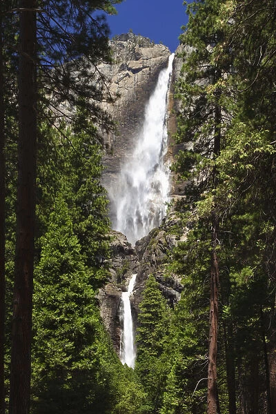 USA, California, Yosemite National Park. Yosemite Falls landscape