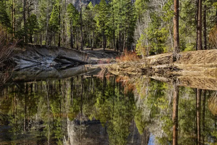 Framed Print : USA, California, Yosemite National Park, Reflections in the Merced River Framed Print : USA, California, Yosemite National Park, Reflections in the Merced River