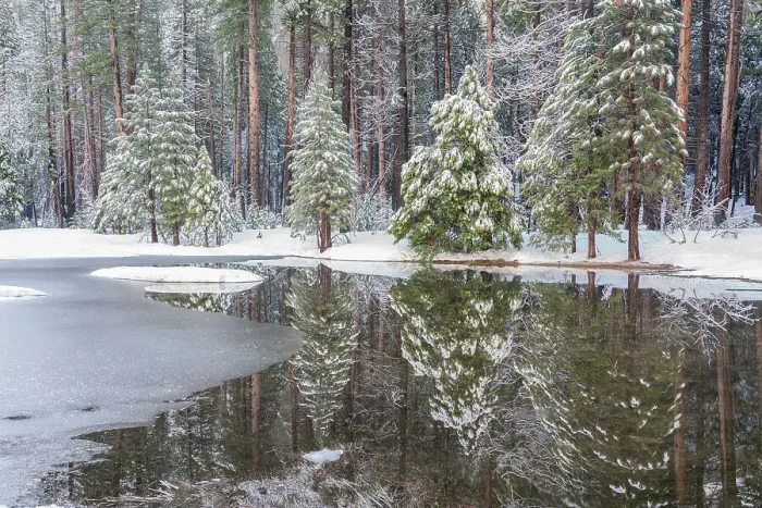 Framed Print : USA, California, Yosemite National Park. Forest reflection on winter pond after snowstorm. ©Don Grall / Jaynes Gallery / DanitaDelimont.com Framed Print : USA, California, Yosemite National Park. Forest reflection on winter pond after snowstorm. ©Don Grall / Jaynes Gallery / DanitaDelimont.com