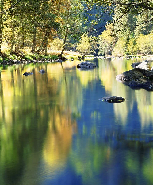 USA; California; Yosemite National Park; Autumn Colors reflecting in the Merced River