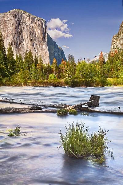 USA, California, Yosemite, Valley View