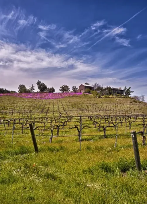 Framed Print : USA, Califronia, Temcula. Lumiere Winery in spring in Temecula Framed Print : USA, Califronia, Temcula. Lumiere Winery in spring in Temecula