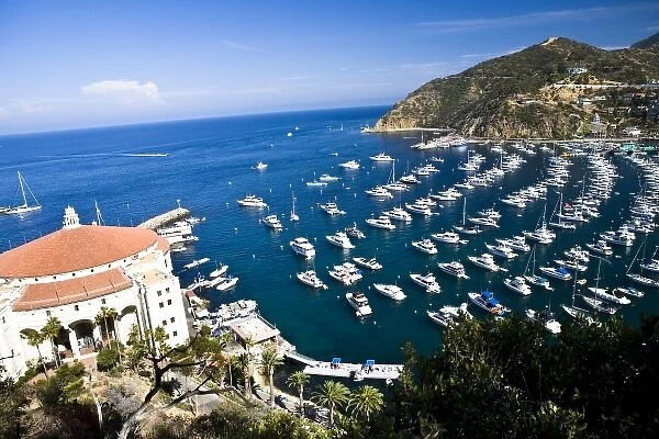 USA, Catalina Island. View overlooking Avalon harbor from the north side. The Wrigley