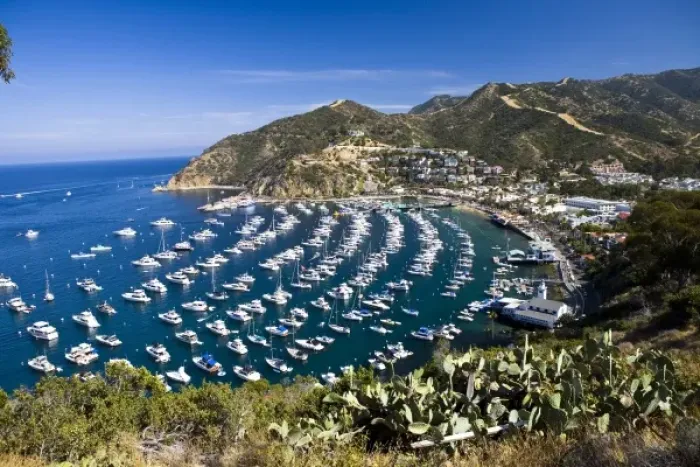 Framed Print : USA, Catalina Island. View overlooking Avalon harbor from the north side. The Wrigley Framed Print : USA, Catalina Island. View overlooking Avalon harbor from the north side. The Wrigley