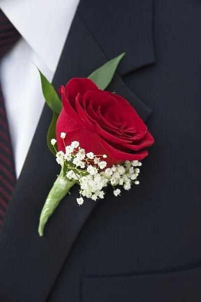 USA, close-up of boutonniere on grooms lapel, wedding detail