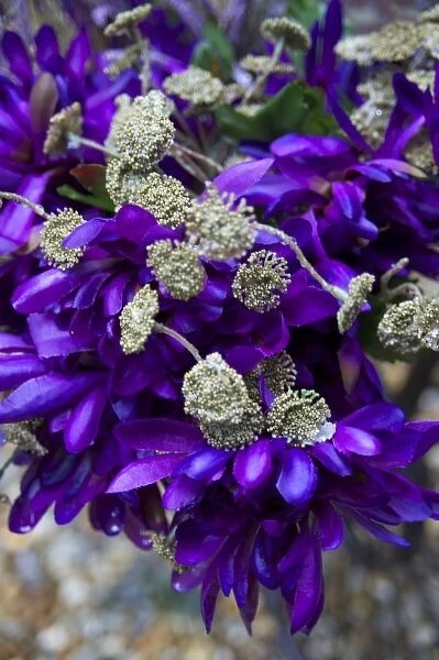 USA, close-up of purple floral decoration, wedding detail