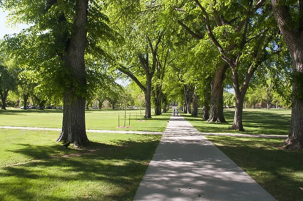 USA, CO, Fort Collins. Students walk in The Oval - a landmark park section in center