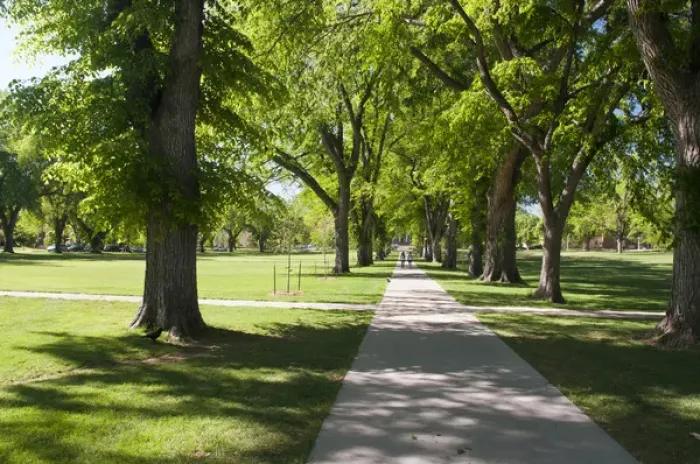 Framed Print : USA, CO, Fort Collins. Students walk in The Oval - a landmark park section in center Framed Print : USA, CO, Fort Collins. Students walk in The Oval - a landmark park section in center
