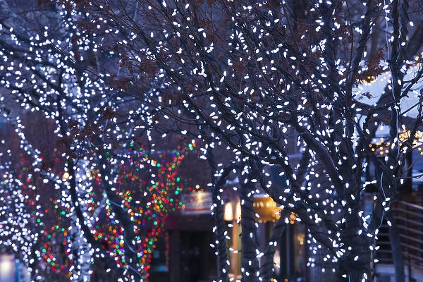 USA, Colorado, Aspen, Christmas lights on trees, Mill Street Mall