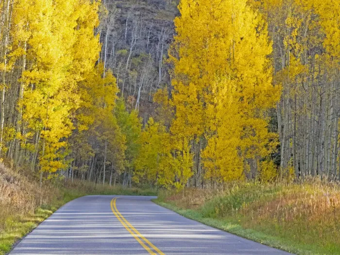 Framed Print : USA, Colorado, Aspen, curved roadway near township of Aspen in fall colors