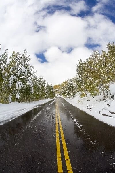 USA, Colorado, Aspen, Road Leading to Marron Bells, First Snow Autumn