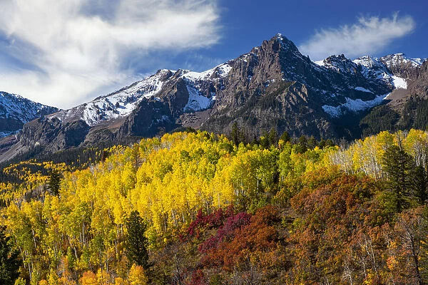 USA, Colorado autumn