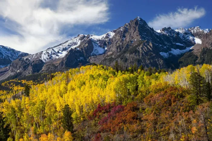 Framed Print : USA, Colorado autumn