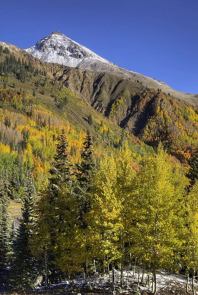 USA, Colorado. autumn color in the San Juan Mtns, Colorado Credit as: Dennis Flaherty