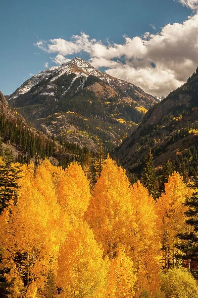 USA, Colorado. Autumn landscape in San Juan Mountains