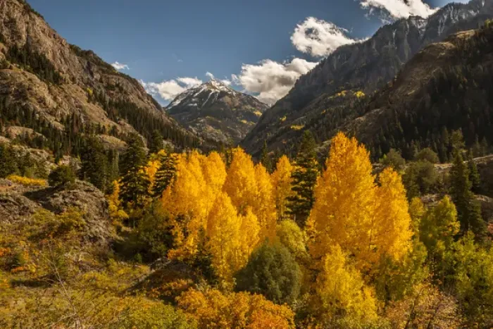 Framed Print : USA, Colorado. Autumn landscape in San Juan Mountains Framed Print : USA, Colorado. Autumn landscape in San Juan Mountains