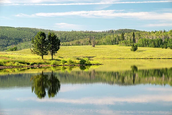USA, Colorado. Calm reflection on Steamboat Lake