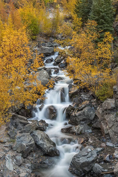 USA, Colorado. Cascading creek in San Juan Mountains