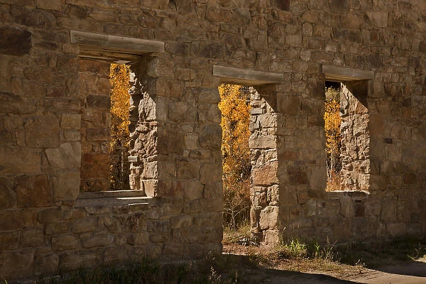 USA, Colorado, Central City. Aspen trees inside abandoned stone building. Credit as
