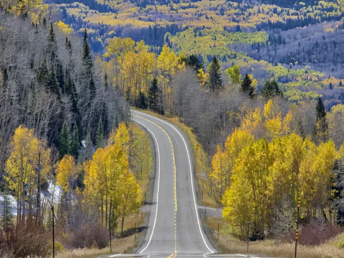 Framed Print : USA, Colorado. An empty Colorado highway 145 in midday surrounded by fall color near