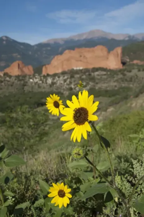 Framed Print : USA, Colorado, Colorado Springs, Garden of the Gods Natural Monument & park. 1, 300 Framed Print : USA, Colorado, Colorado Springs, Garden of the Gods Natural Monument & park. 1, 300