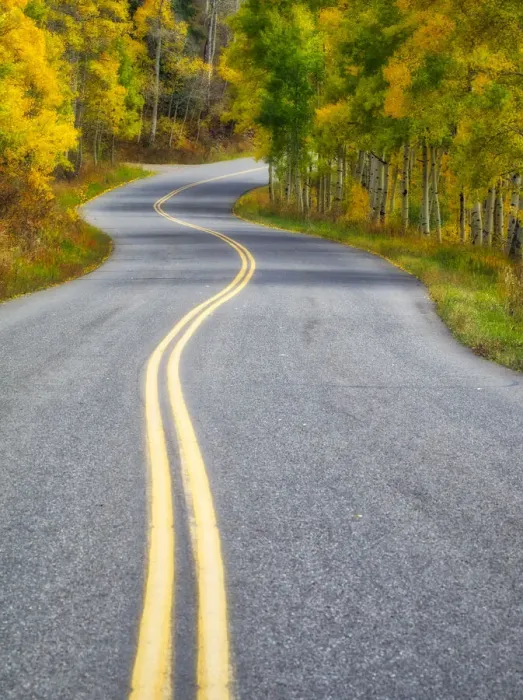 Framed Print : USA, Colorado. Curved Roadway near Aspen, Colorado in autumn colors and aspens groves Framed Print : USA, Colorado. Curved Roadway near Aspen, Colorado in autumn colors and aspens groves