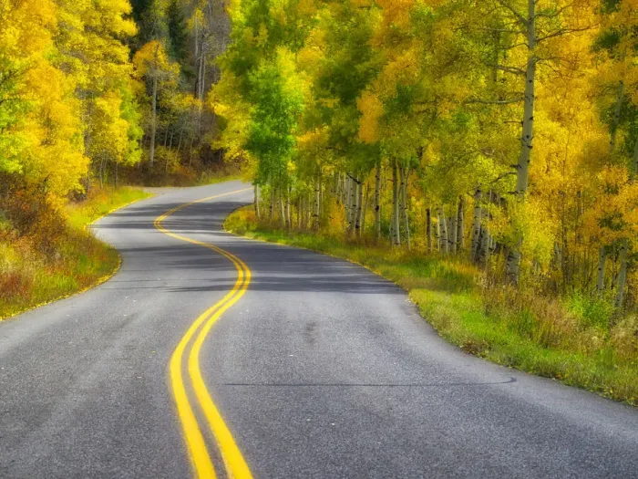Framed Print : USA, Colorado. Curved Roadway near Aspen, Colorado in autumn colors and aspens groves Framed Print : USA, Colorado. Curved Roadway near Aspen, Colorado in autumn colors and aspens groves
