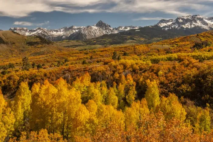 Framed Print : USA, Colorado. Dallas Divide in San Juan Mountains
