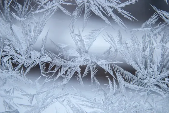 Framed Print : USA, Colorado, Denver. Frost on a window Framed Print : USA, Colorado, Denver. Frost on a window