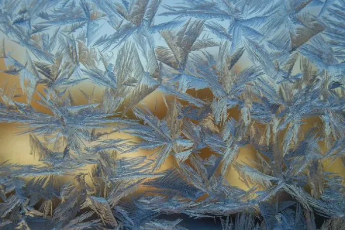 Framed Print : USA, Colorado, Denver. Frost on a window Framed Print : USA, Colorado, Denver. Frost on a window