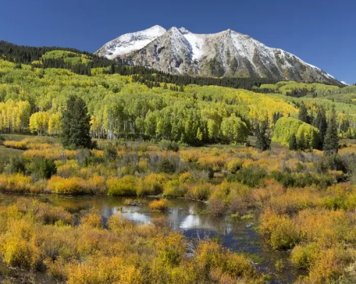 Framed Print : USA, Colorado, East Beckwith Mountain. Composite of mountain and forest. Credit as