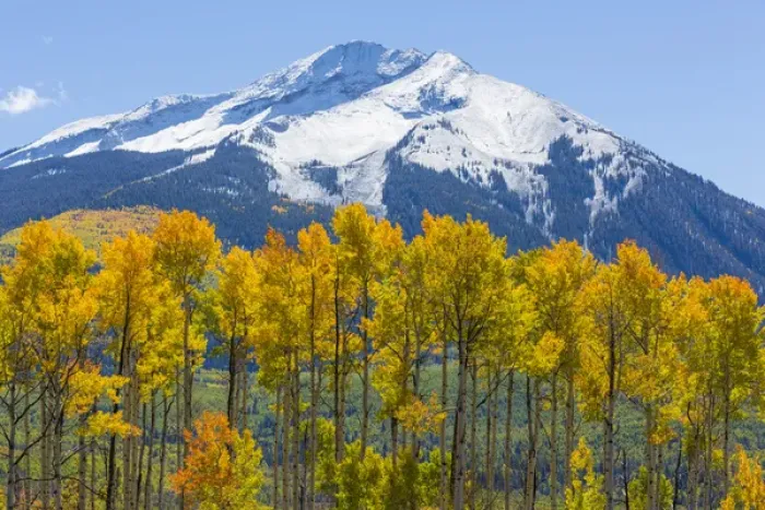 Framed Print : USA, Colorado. Fall aspens and mountain. Credit as: Don Paulson  /  Jaynes Gallery  /  DanitaDelimont