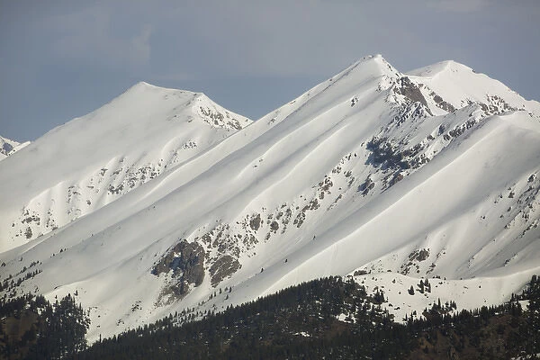 USA, Colorado. Fresh spring snow coats Sawatch Range