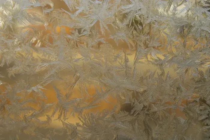 Framed Print : USA, Colorado. Frost on window pane. Credit as: Cathy & Gordon Illg / Jaynes Gallery Framed Print : USA, Colorado. Frost on window pane. Credit as: Cathy & Gordon Illg / Jaynes Gallery