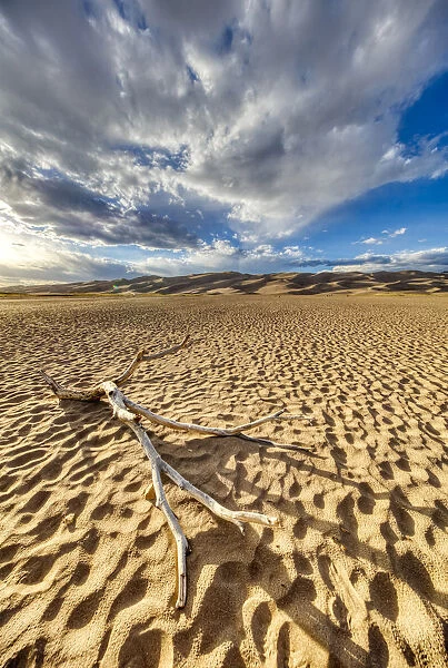 USA, Colorado, Great Sand Dunes National Park and Preserve. Desert and sand dunes