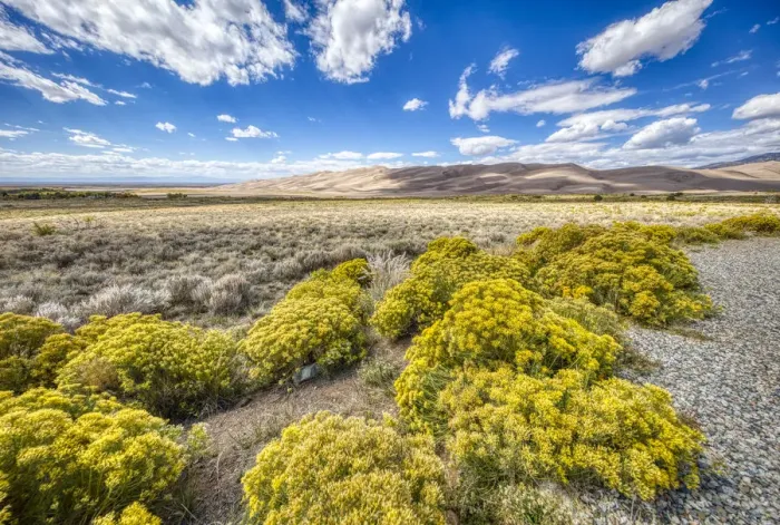 Framed Print : USA, Colorado, Great Sand Dunes National Park and Preserve. Grassy plain landscape