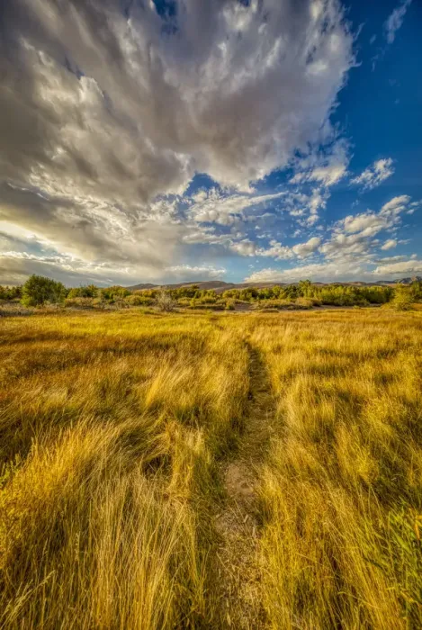 Framed Print : USA, Colorado, Great Sand Dunes National Park and Preserve. Grassy plain landscape