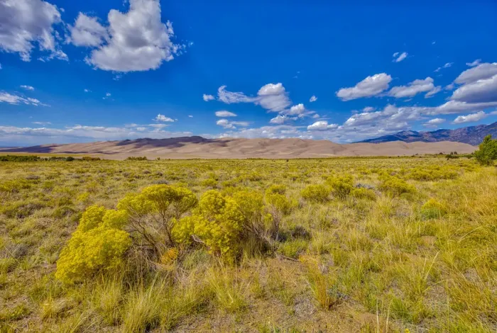 Framed Print : USA, Colorado, Great Sand Dunes National Park and Preserve. Landscape of plain and dunes Framed Print : USA, Colorado, Great Sand Dunes National Park and Preserve. Landscape of plain and dunes